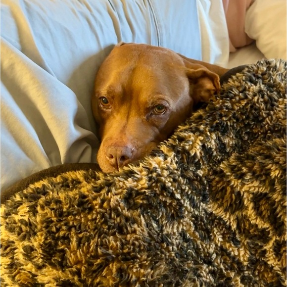 The hardest goodbye - Picture 2 of 5